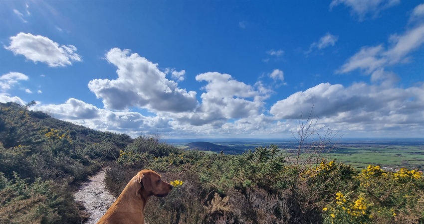 Picturesque walks in North...