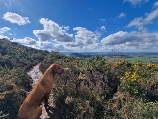 Picturesque walks in North Yorkshire