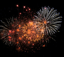 Happy New Year to all of our guests