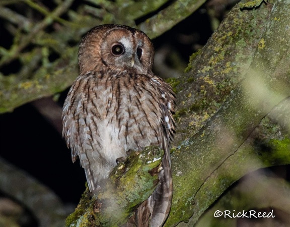 Discover the Abundant Wildlife in Our Park