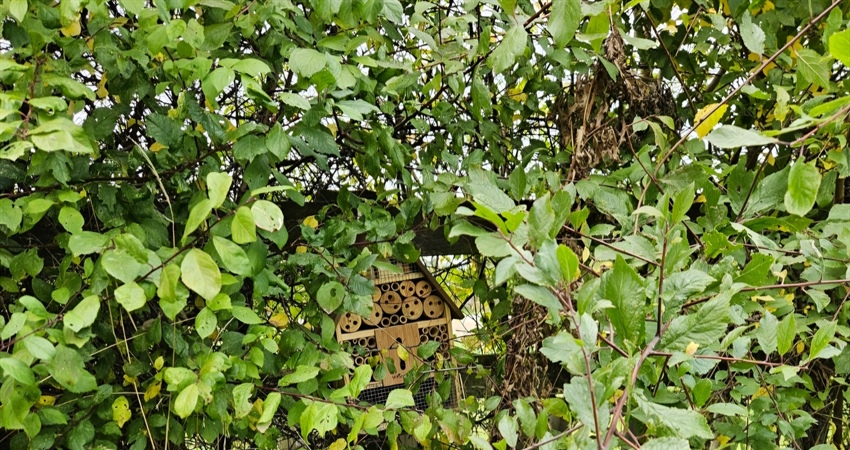 Welcoming Our Newest Guests:...